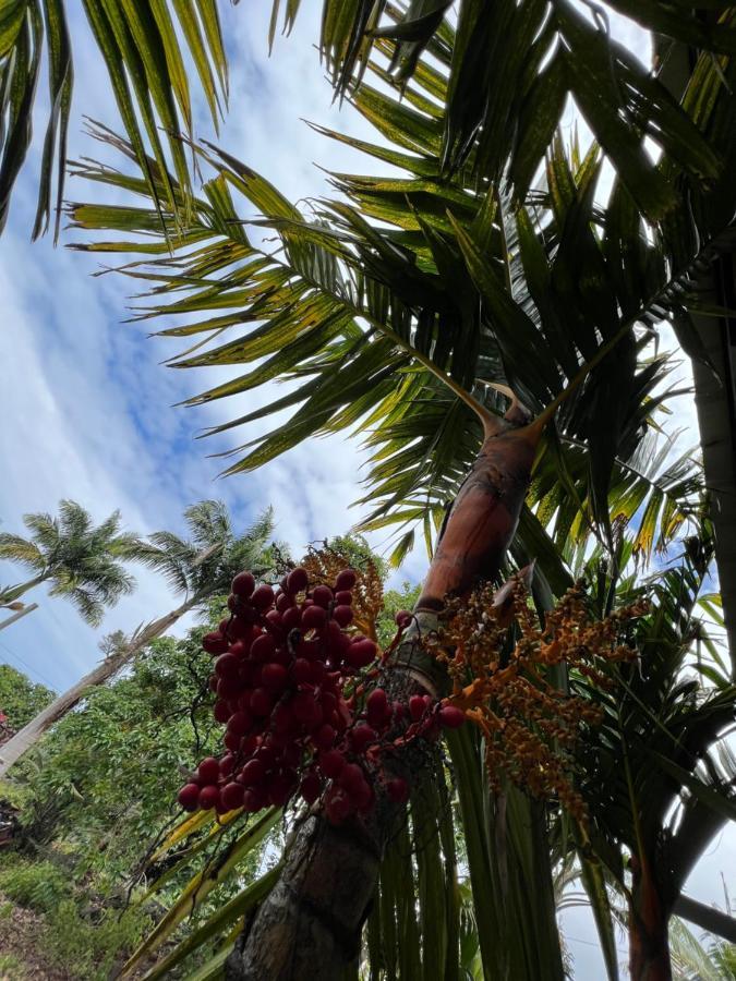 הוילה Holualoa Hawaii Getaway מראה חיצוני תמונה